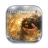 photolab 9.png