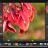 PT Photo Editor Pro sc.jpg