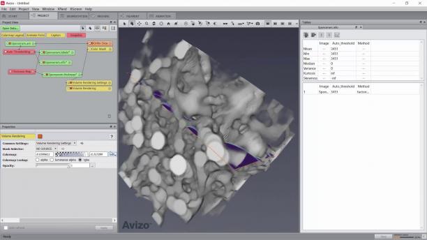 Avizo Trueput Software sc.jpg