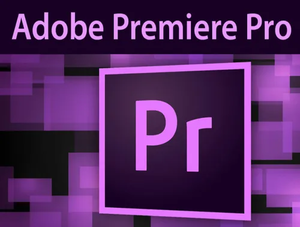 Adobe Premiere Pro 2024 24.2.1 (x64) Multilingual Portable