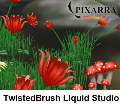 Pixarra TwistedBrush Liquid Studio.jpg