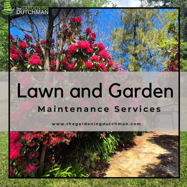 Reliable Lawn and Garden Maintenance Services 