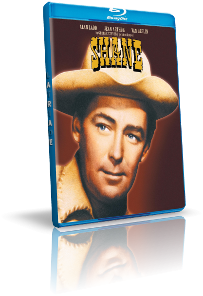 shane.png