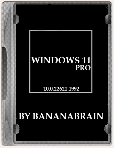 Windows 11 Pro 22H2 Build 22621.1992 by BananaBrain En/Ru July 2023