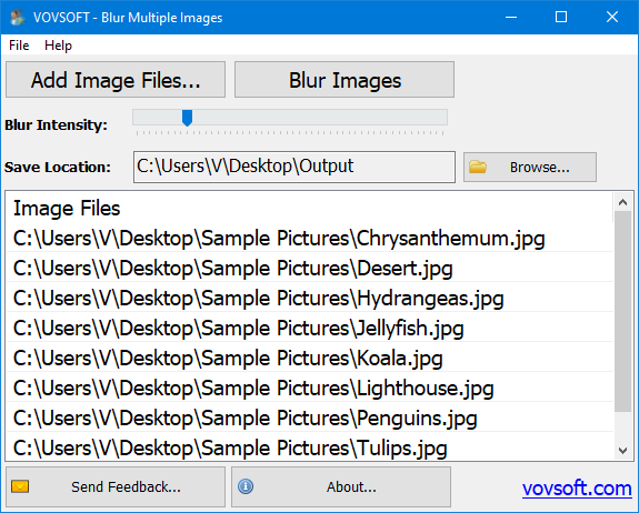 VovSoft Blur Multiple Images screen.png
