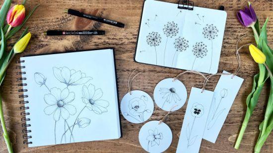 Botanical Drawing for Beginners: How to Draw Simple Flowers
