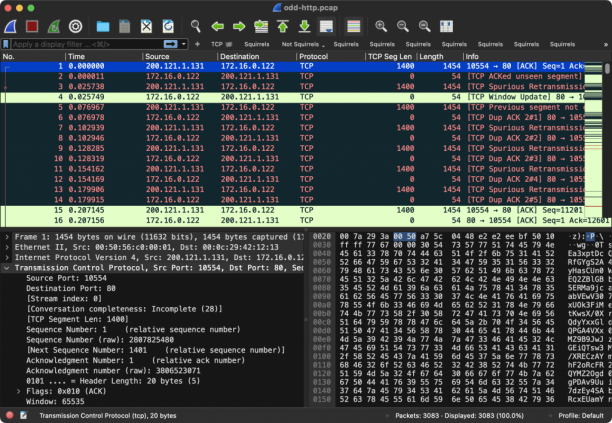 Wireshark sc.png