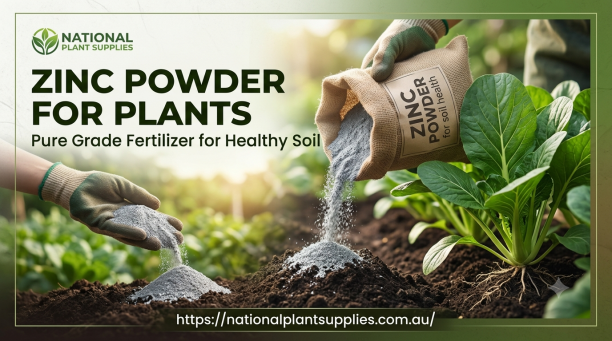 Zinc Powder for Plants Pure Grade Fertilizer for Healthy Soil.png