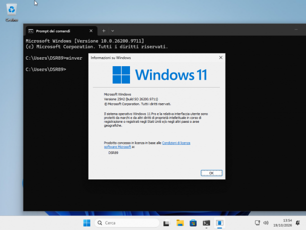 VirtualBox_w11test_19_10_2026_13_54_41.png