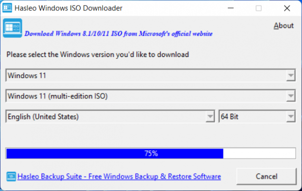 Hasleo Windows ISO Downloader sc.png