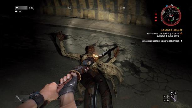 Dying Light screen (7).jpg