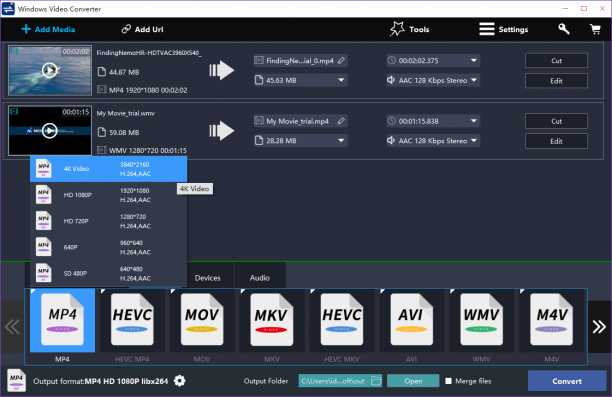 Windows Video Converter sc.png