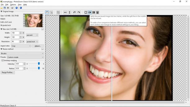Benvista PhotoZoom Classic sc.jpg