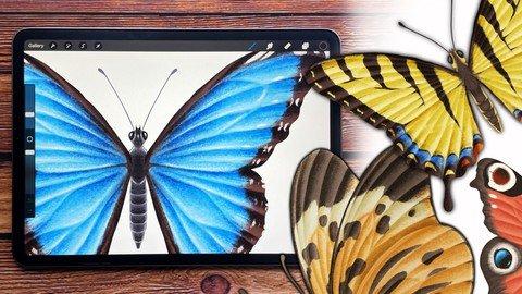 Procreate - Illustrate Butterflies And 3 Ways To Animate