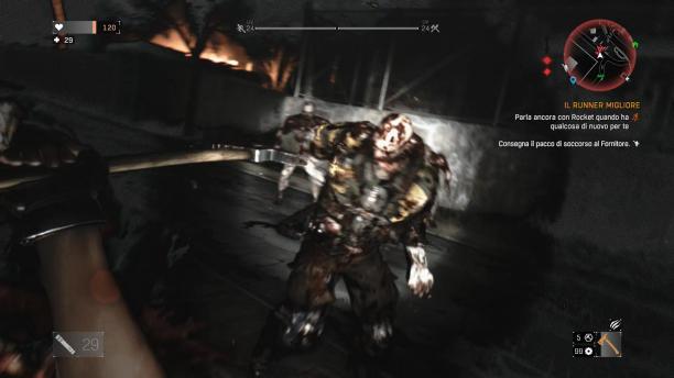 Dying Light screen (4).jpg