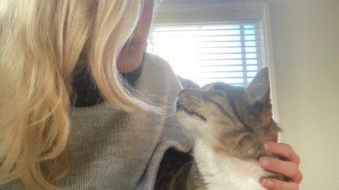 Angelic Animal Communication.jpg