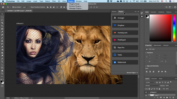 Adobe Photoshop screen.png