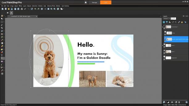 Corel PaintShop Pro screen.jpg