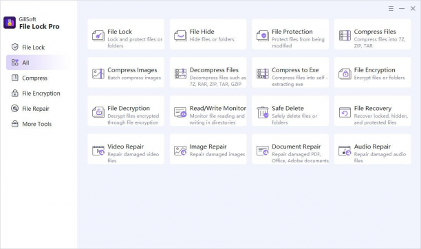 GiliSoft File Lock Pro sc.png