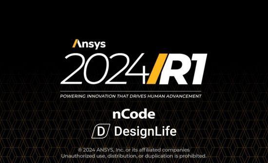 ANSYS 2024 R1 nCode DesignLife (x64)