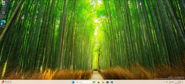 Microsoft Windows 11 sc.png