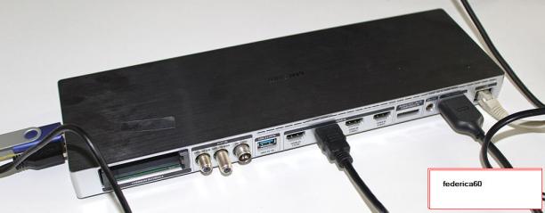 id418008.jpg
