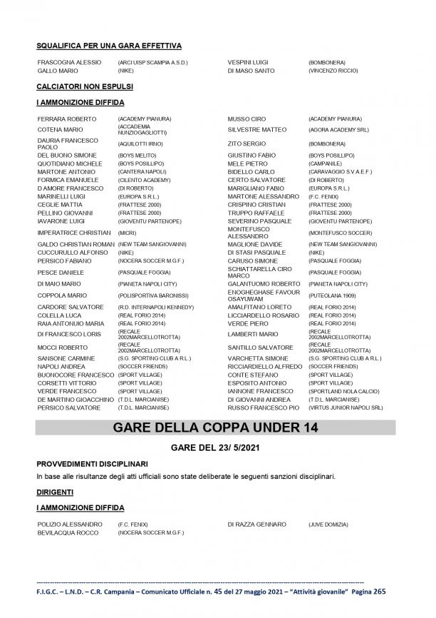 C.U.45-S.G.S.Campania-2-16_page-0015.jpg