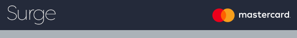 surge-basic-v3_01.gif