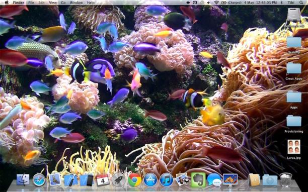 Aquarium Live HD screensaver sc.jpg