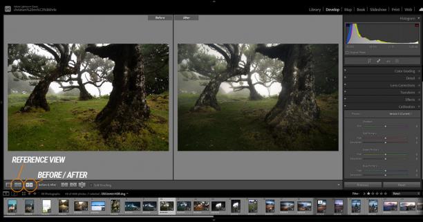 Adobe Lightroom Classic screen.jpg