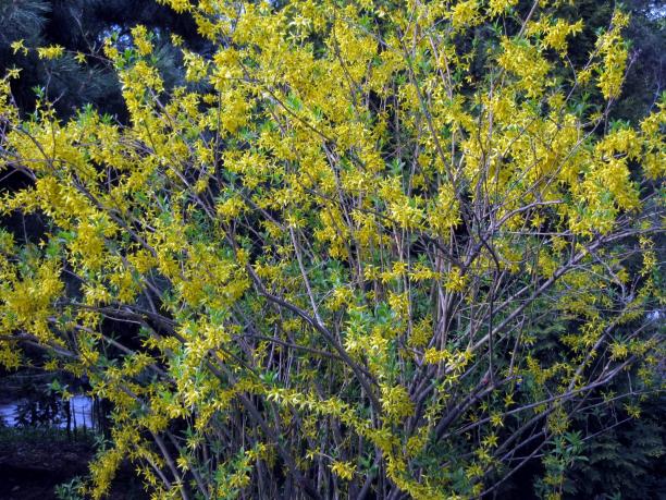 IMG_0443.jpg