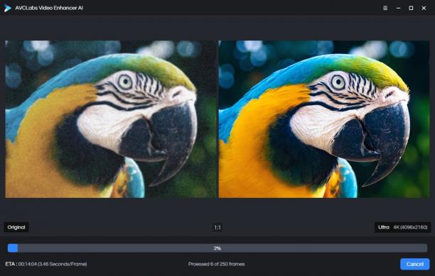AVCLabs Video Enhancer AI screen.jpg