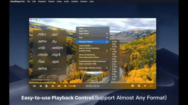 OmniPlayer sc.png
