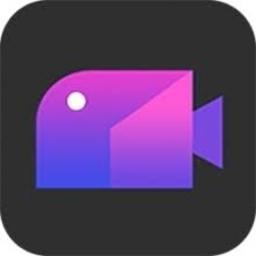 Apeaksoft Slideshow Maker 1.0.52 (x64) Multilingual