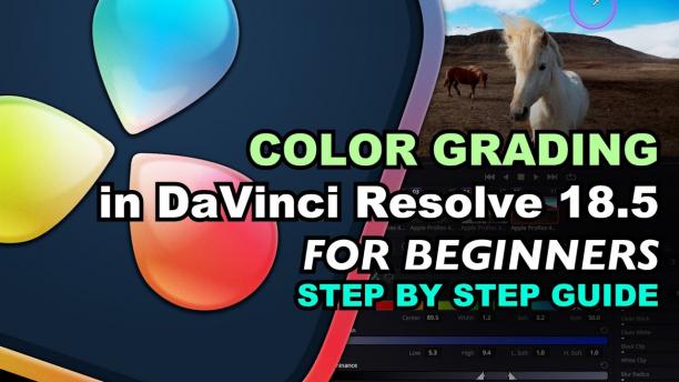 Master Color Grading in DaVinci Resolve 18.6