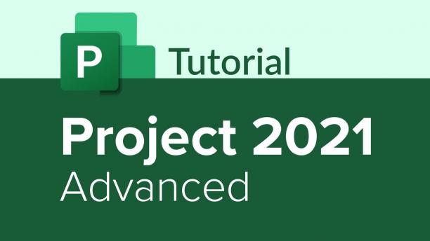 Advanced Microsoft Project 2021: Master Project Management