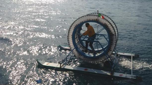 maxi-ruota da criceto.jpg