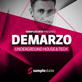 Samplestate-Demarzo-Underground-House-Tech.jpg