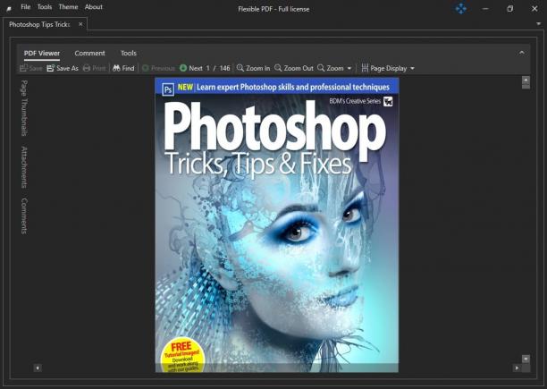 Flexible PDF sc.jpg