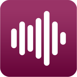 Duplicate Music Fixer 2.1.1000.11070 Multilingual Portable