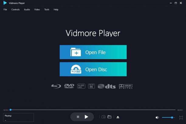Vidmore Player screen.jpg
