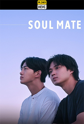 soul hevc.png