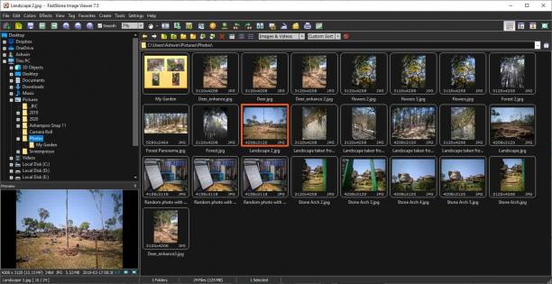 FastStone Image Viewer sc.jpg