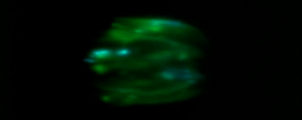 vlcsnap-2020-05-06-17h46m30s479.png