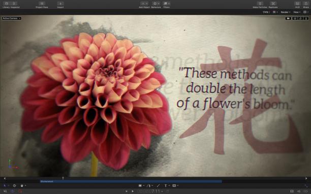 screen800x500 (2).jpeg