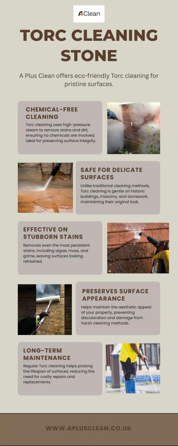 Torc Cleaning Stone (1).jpg