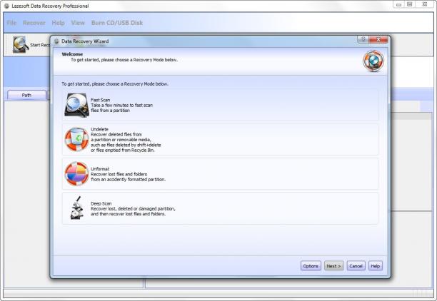 Lazesoft Data Recovery pro.jpg
