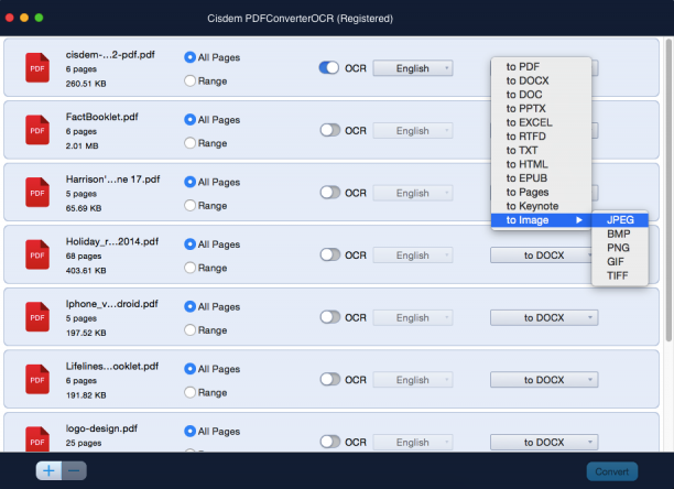 Cisdem PDF Converter OCR screen.png