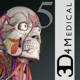 icon128-2x (1).png