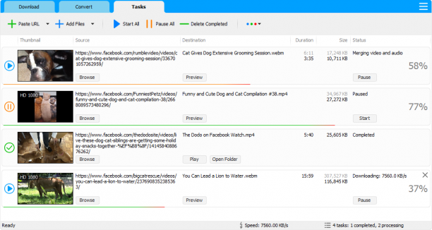 Social Media Downloader sc.png